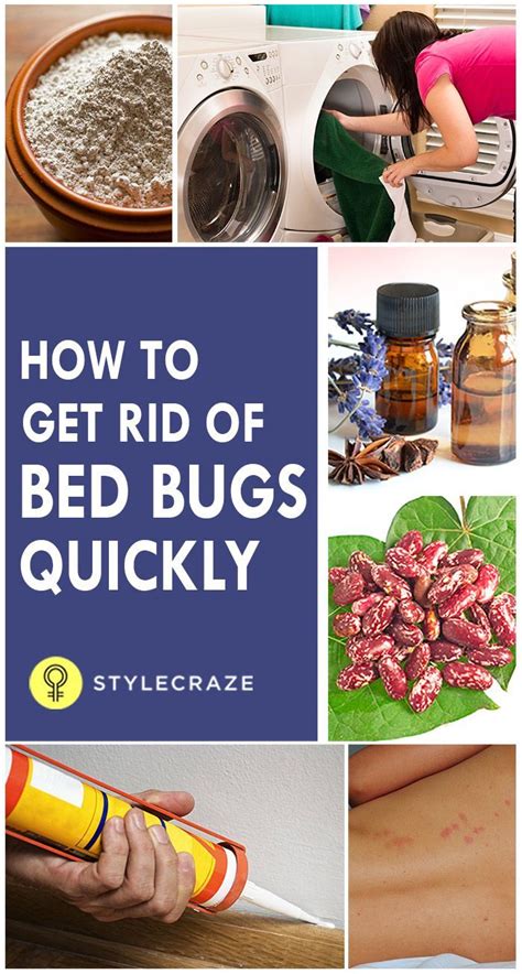 How to Get Rid of Bedbugs .